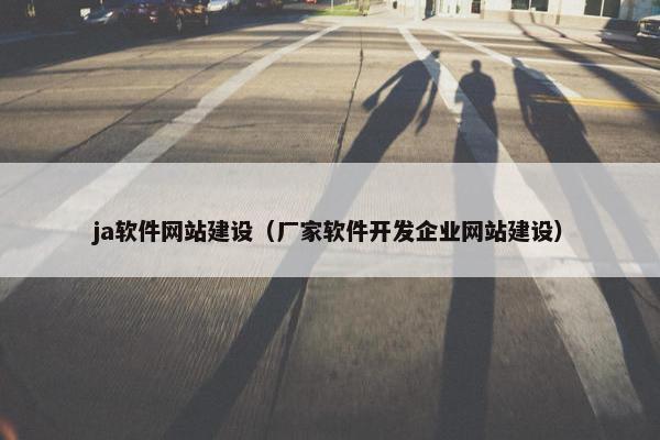ja软件网站建设（厂家软件开发企业网站建设）