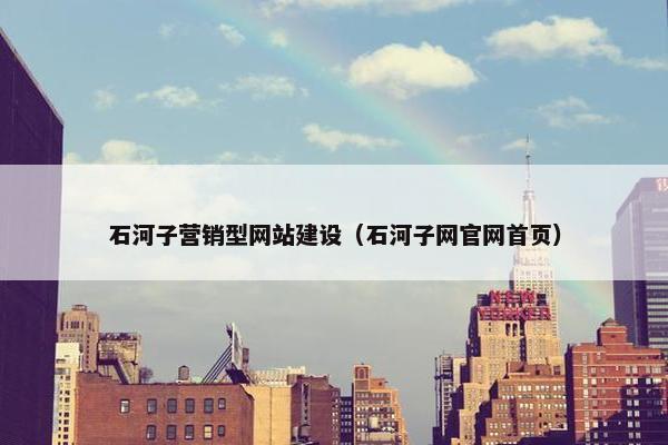 石河子营销型网站建设（石河子网官网首页）