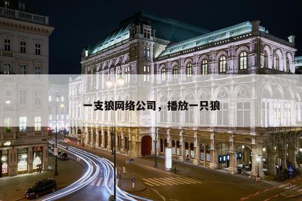 一支狼网络公司，播放一只狼