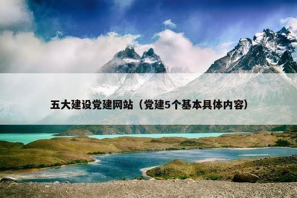 五大建设党建网站（党建5个基本具体内容）