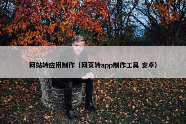 网站转应用制作（网页转app制作工具 安卓）