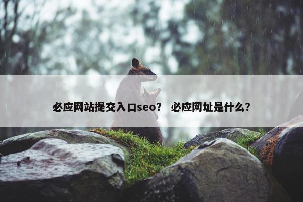 必应网站提交入口seo？ 必应网址是什么？
