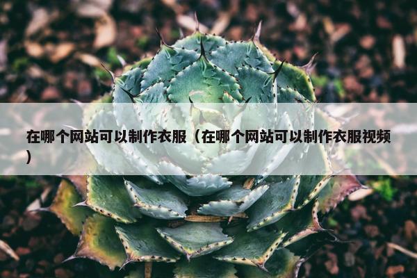 在哪个网站可以制作衣服（在哪个网站可以制作衣服视频）