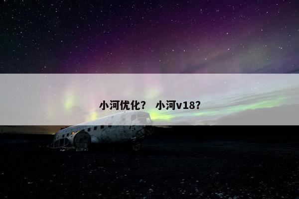 小河优化？ 小河v18？