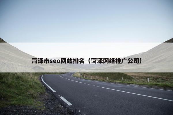菏泽市seo网站排名（菏泽网络推广公司）
