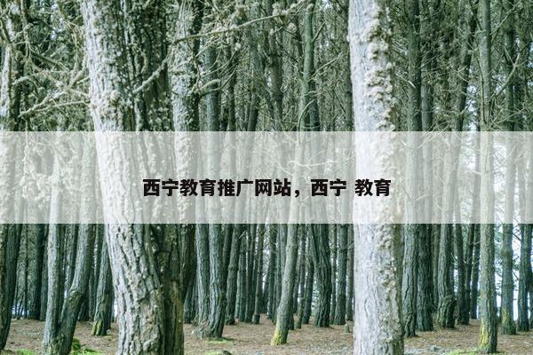 西宁教育推广网站，西宁 教育