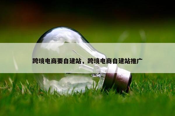 跨境电商要自建站，跨境电商自建站推广