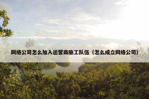 网络公司怎么加入运营商施工队伍（怎么成立网络公司）