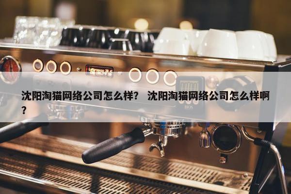 沈阳淘猫网络公司怎么样？ 沈阳淘猫网络公司怎么样啊？
