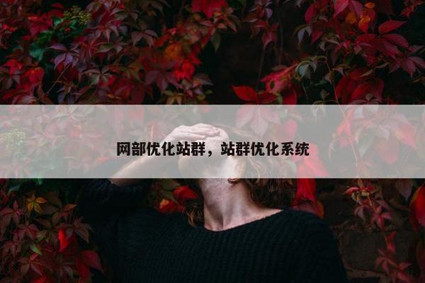 网部优化站群，站群优化系统