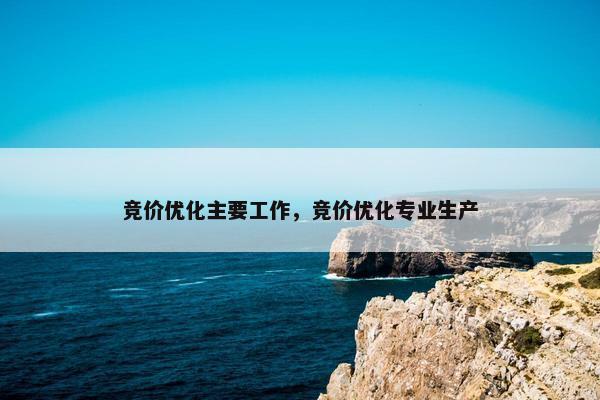 竞价优化主要工作，竞价优化专业生产