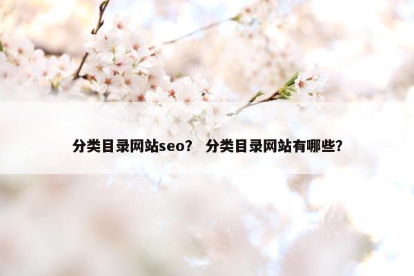 分类目录网站seo？ 分类目录网站有哪些？