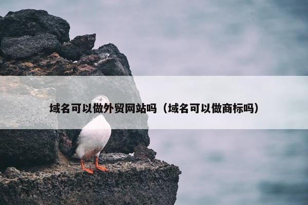 域名可以做外贸网站吗（域名可以做商标吗）
