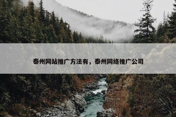 泰州网站推广方法有，泰州网络推广公司