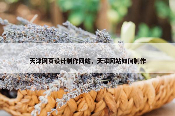 天津网页设计制作网站，天津网站如何制作