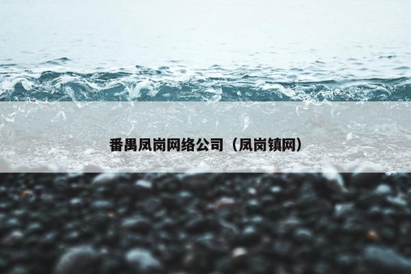番禺凤岗网络公司（凤岗镇网）