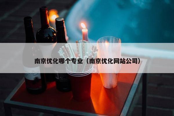 南京优化哪个专业（南京优化网站公司）