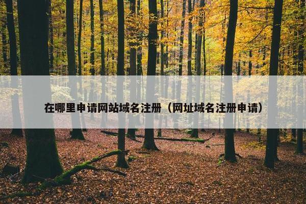 在哪里申请网站域名注册（网址域名注册申请）