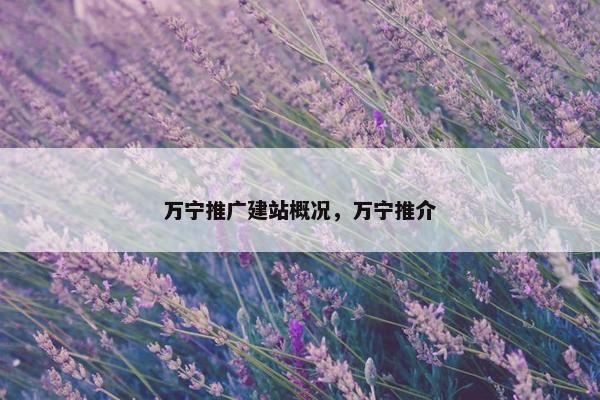 万宁推广建站概况，万宁推介