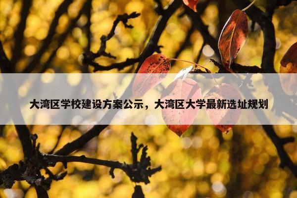 大湾区学校建设方案公示，大湾区大学最新选址规划
