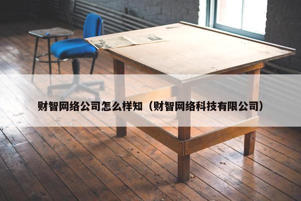 财智网络公司怎么样知（财智网络科技有限公司）