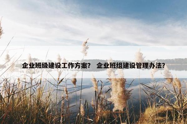 企业班级建设工作方案？ 企业班组建设管理办法？