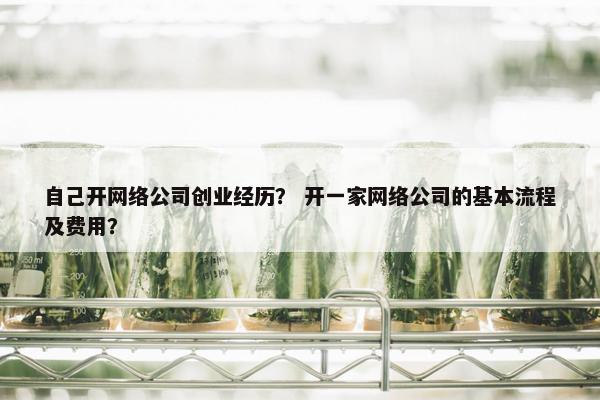 自己开网络公司创业经历？ 开一家网络公司的基本流程及费用？