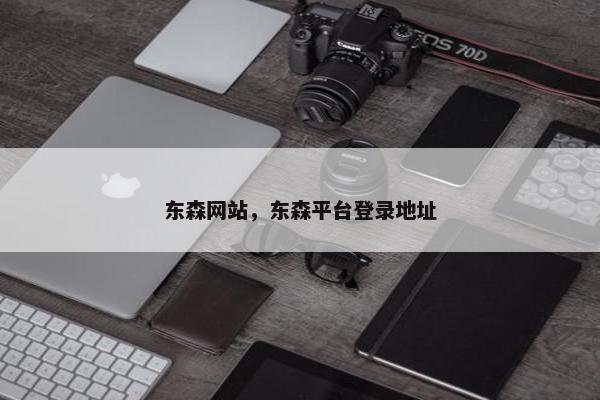 东森网站，东森平台登录地址