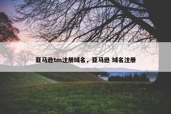 亚马逊tm注册域名，亚马逊 域名注册