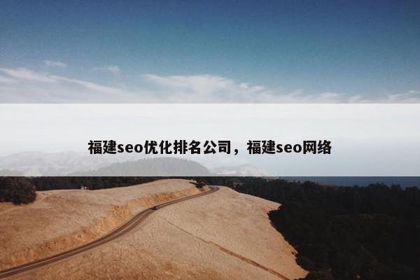 福建seo优化排名公司，福建seo网络