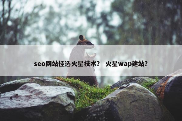 seo网站佳选火星技术？ 火星wap建站？