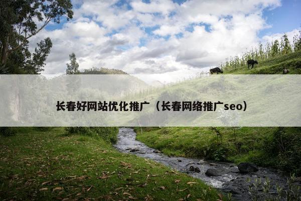 长春好网站优化推广（长春网络推广seo）