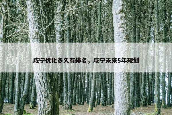 咸宁优化多久有排名，咸宁未来5年规划