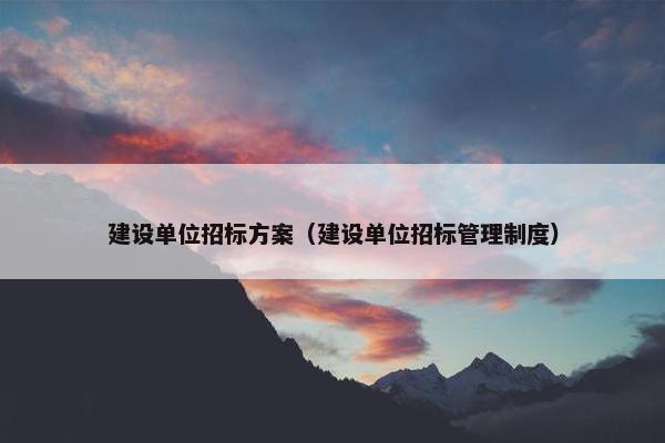 建设单位招标方案（建设单位招标管理制度）