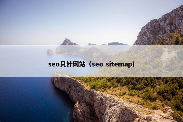 seo只针网站（seo sitemap）
