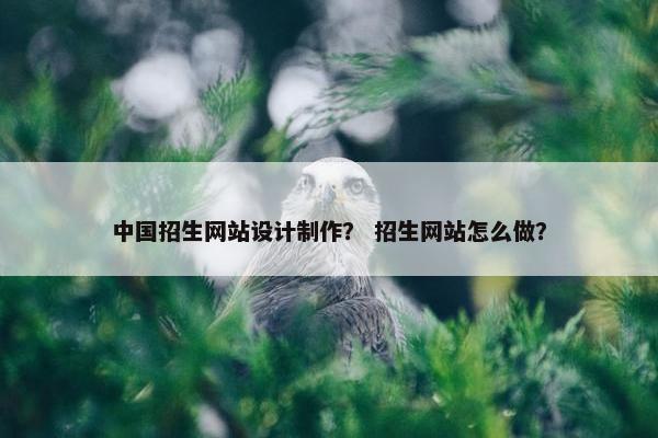中国招生网站设计制作？ 招生网站怎么做？
