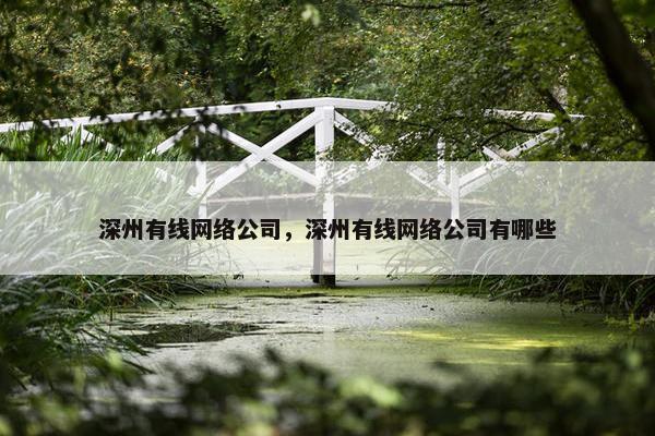 深州有线网络公司，深州有线网络公司有哪些