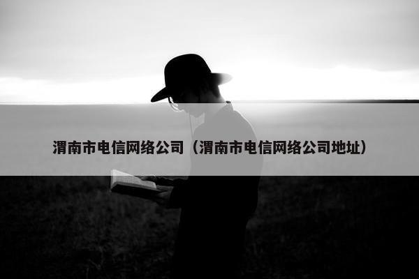 渭南市电信网络公司（渭南市电信网络公司地址）