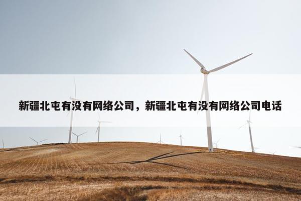 新疆北屯有没有网络公司，新疆北屯有没有网络公司电话