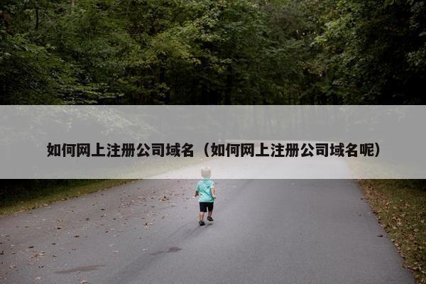 如何网上注册公司域名（如何网上注册公司域名呢）