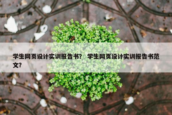 学生网页设计实训报告书？ 学生网页设计实训报告书范文？