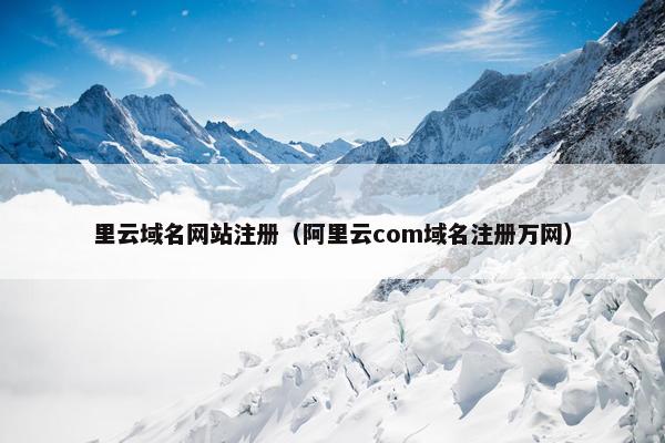 里云域名网站注册（阿里云com域名注册万网）