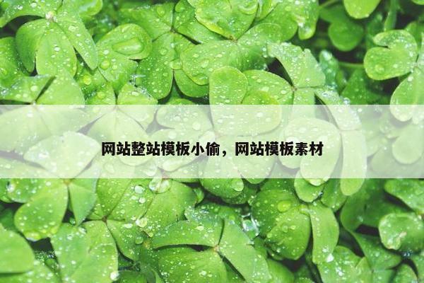 网站整站模板小偷，网站模板素材