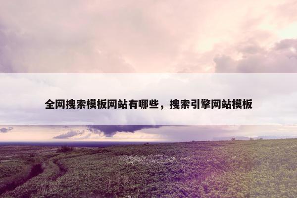 全网搜索模板网站有哪些，搜索引擎网站模板