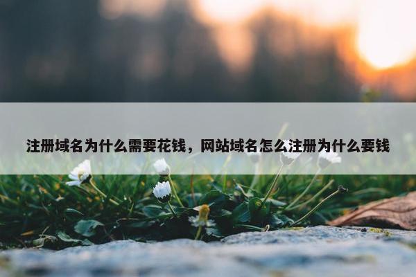 注册域名为什么需要花钱，网站域名怎么注册为什么要钱