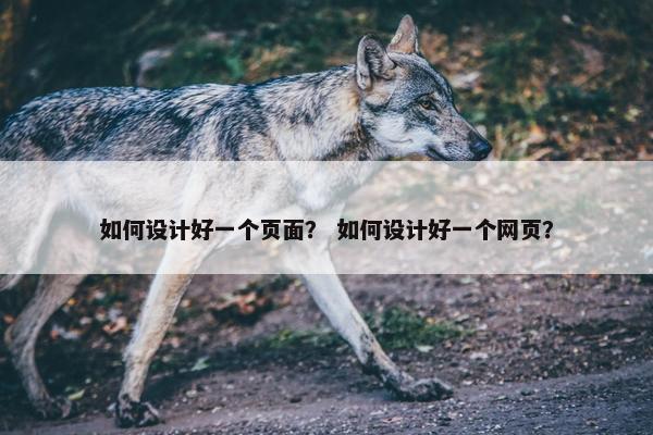 如何设计好一个页面？ 如何设计好一个网页？