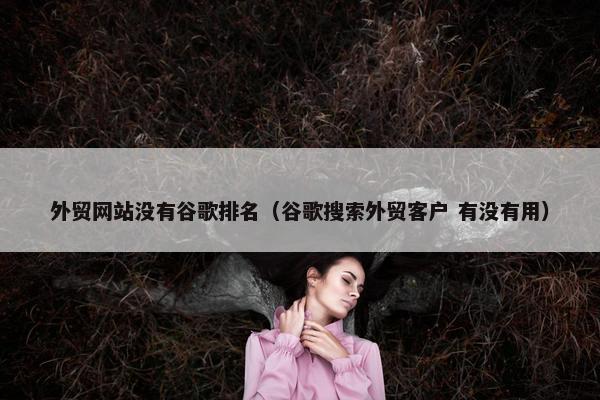 外贸网站没有谷歌排名（谷歌搜索外贸客户 有没有用）