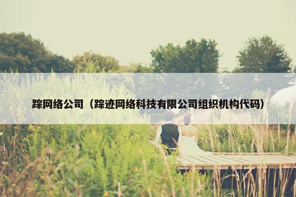 踪网络公司（踪迹网络科技有限公司组织机构代码）