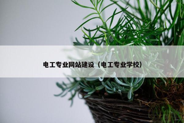 电工专业网站建设（电工专业学校）
