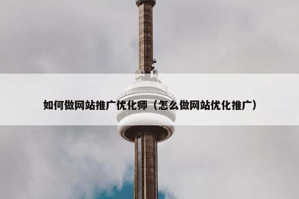 如何做网站推广优化师（怎么做网站优化推广）